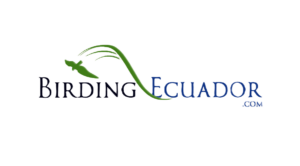 logo1