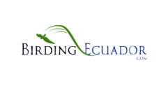 logoclear