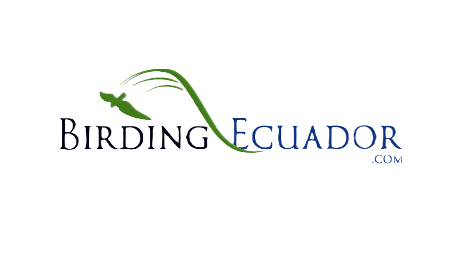 logoclear